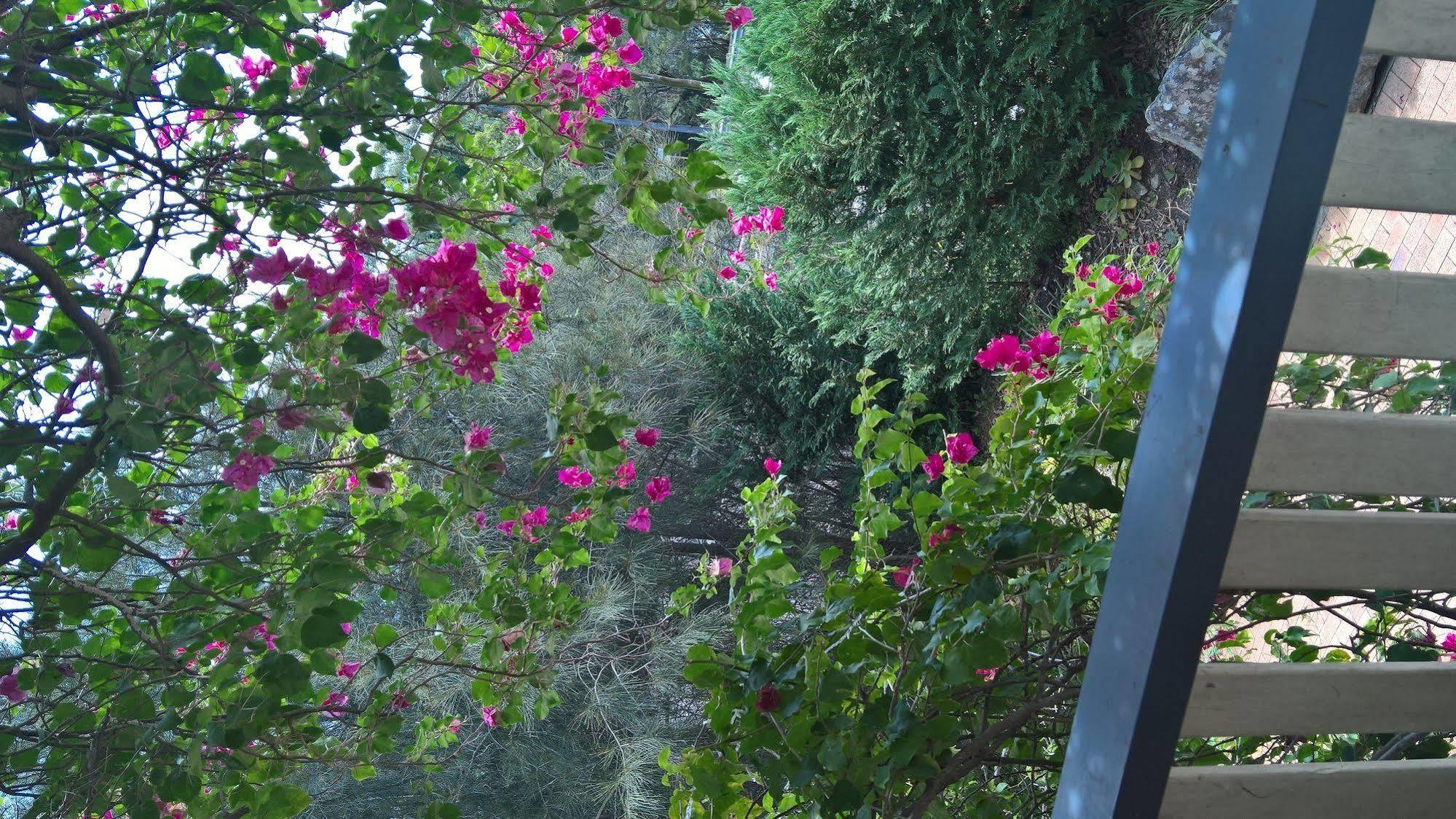 לינה וארוחת בוקר סידני Linley House מראה חיצוני תמונה